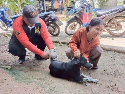 LINE_ALBUM_ฉีดวัคซีนป้องกันโรคพิษสุนัขบ้า ประจำ_250523_8.jpg