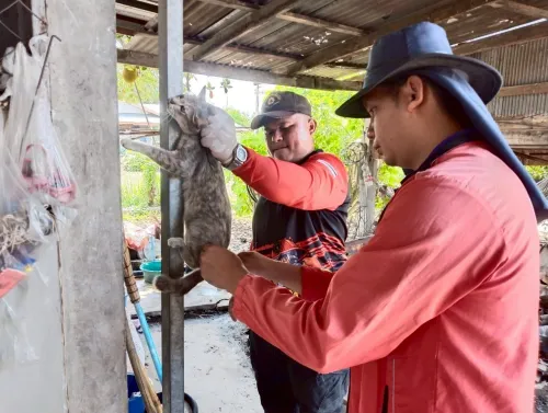 LINE_ALBUM_ฉีดวัคซีนป้องกันโรคพิษสุนัขบ้า ประจำ_250523_10.jpg