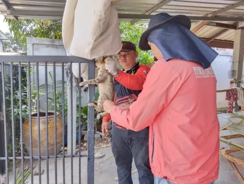 LINE_ALBUM_ฉีดวัคซีนป้องกันโรคพิษสุนัขบ้า ประจำ_250523_13.jpg