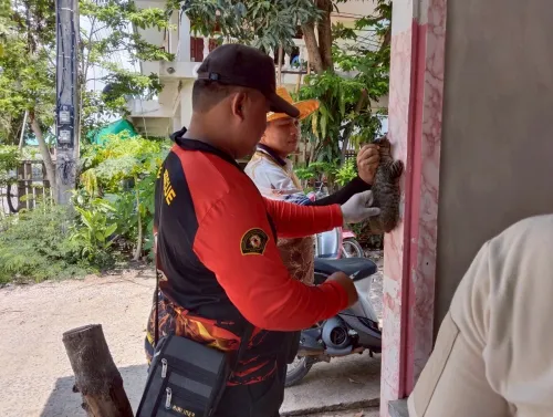 LINE_ALBUM_ฉีดวัคซีนป้องกันโรคพิษสุนัขบ้า ประจำ_250523_14.jpg