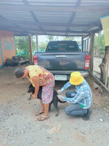 LINE_ALBUM_ฉีดวัคซีนป้องกันโรคพิษสุนัขบ้า ประจำ_250523_16.jpg