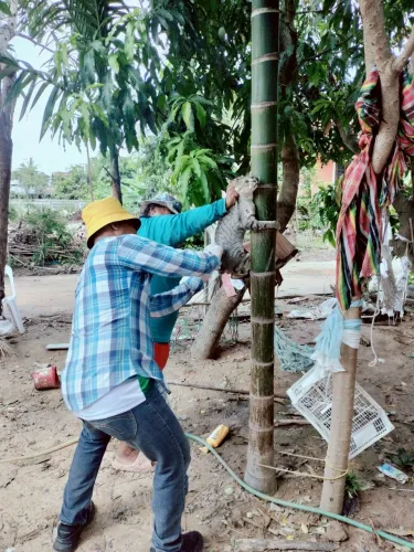 LINE_ALBUM_ฉีดวัคซีนป้องกันโรคพิษสุนัขบ้า ประจำ_250523_17.jpg