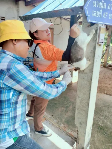LINE_ALBUM_ฉีดวัคซีนป้องกันโรคพิษสุนัขบ้า ประจำ_250523_18.jpg