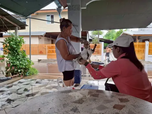 LINE_ALBUM_ฉีดวัคซีนป้องกันโรคพิษสุนัขบ้า ประจำ_250523_20.jpg