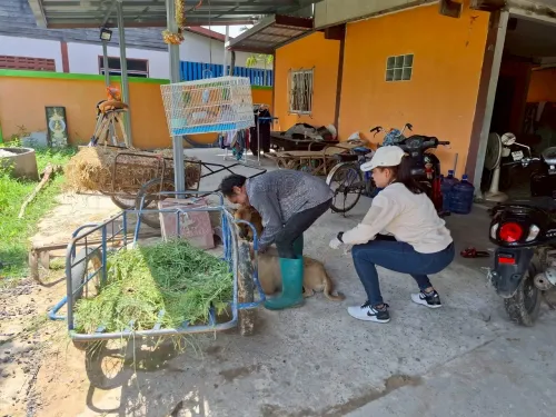 LINE_ALBUM_ฉีดวัคซีนป้องกันโรคพิษสุนัขบ้า ประจำ_250523_22.jpg