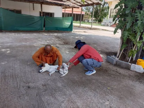 LINE_ALBUM_ฉีดวัคซีนป้องกันโรคพิษสุนัขบ้า ประจำ_250523_25.jpg