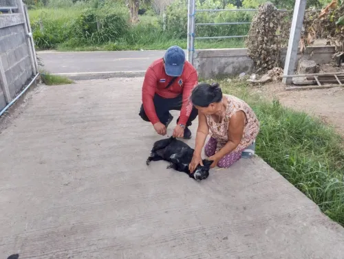 LINE_ALBUM_ฉีดวัคซีนป้องกันโรคพิษสุนัขบ้า ประจำ_250523_29.jpg