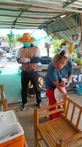 LINE_ALBUM_ฉีดวัคซีนป้องกันโรคพิษสุนัขบ้า ประจำ_250523_36.jpg