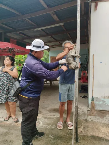 LINE_ALBUM_ฉีดวัคซีนป้องกันโรคพิษสุนัขบ้า ประจำ_250523_44.jpg