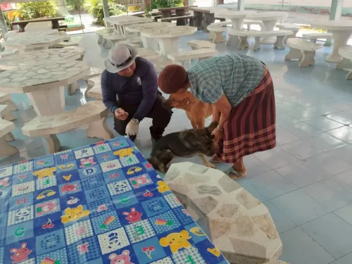 LINE_ALBUM_ฉีดวัคซีนป้องกันโรคพิษสุนัขบ้า ประจำ_250523_47.jpg