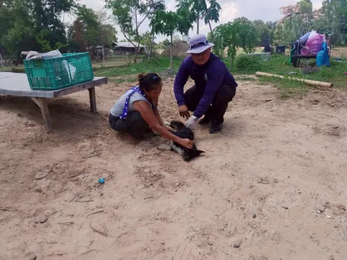 LINE_ALBUM_ฉีดวัคซีนป้องกันโรคพิษสุนัขบ้า ประจำ_250523_48.jpg